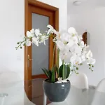 公寓 Atico Duplex En 马拉加