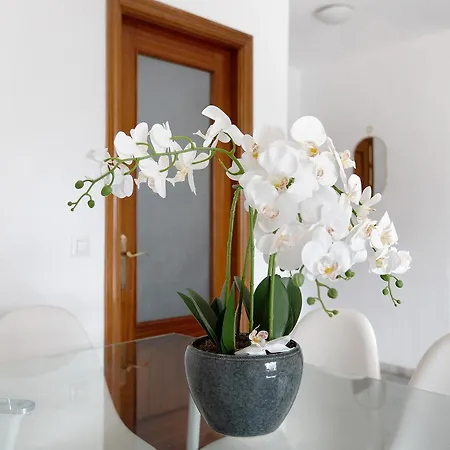 Atico Duplex En *
